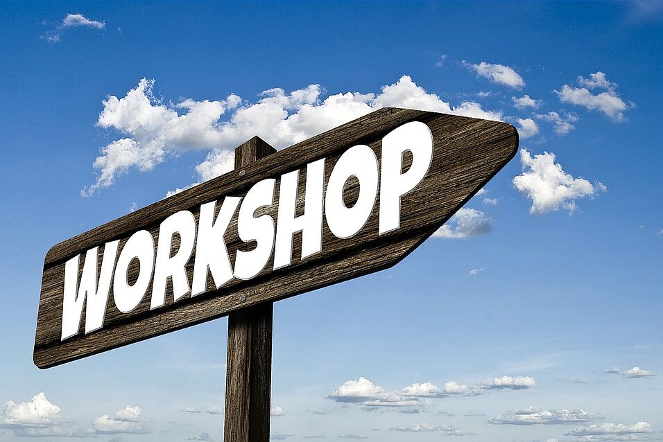 Workshop on International Economic Networks